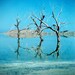 The Salton Three 8x10 Signed Fine Art Photograph