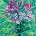 Abstract Fine Art Print - Cleome