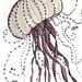 jellyfish print  8x10 inch