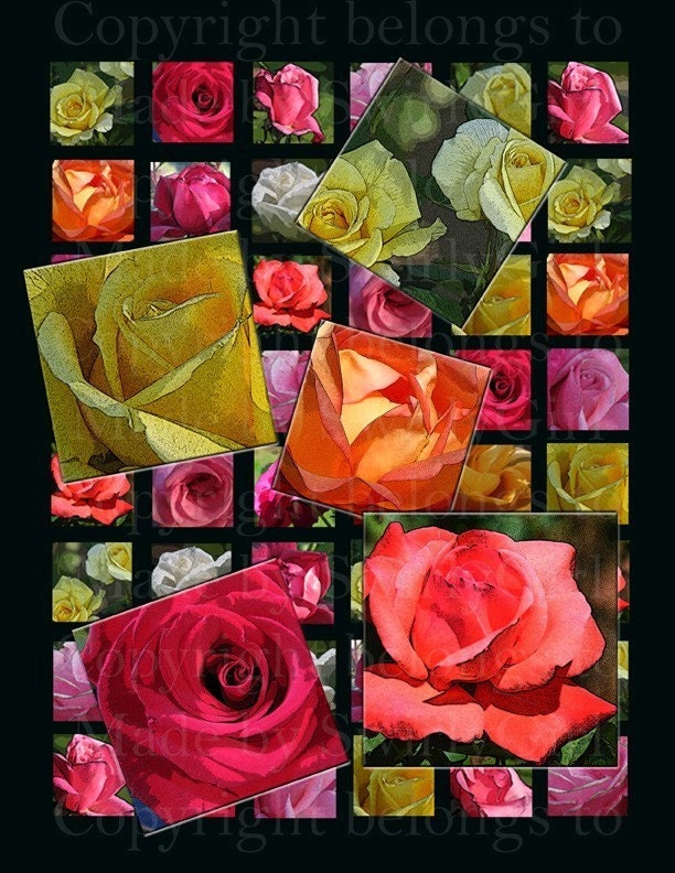 Roses Galore Digital Download Sheet $2.99