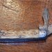 Early American Bone Handled Jack Knife