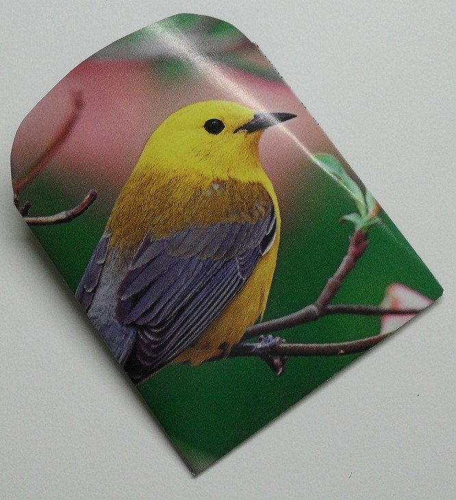 Handmade Spring Envelopes, Flower & Bird