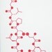 Oxytocin - I Love You - Chemistry Nerd Greeting Card - Red