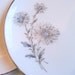 Retro Dishes Vintage Dinnerware Set Winterling Bavaria CHRYSANTHEMUM China Dinner and Salad Plate Settings for 4