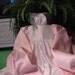 Personalized Christening Gown Receiving Blanket/Shawl