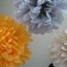 9 Tissue Poms - Tangerine Dream - Mixed Sizes Pick Your Colors - Dessert Table Backdrop Portland Oregon