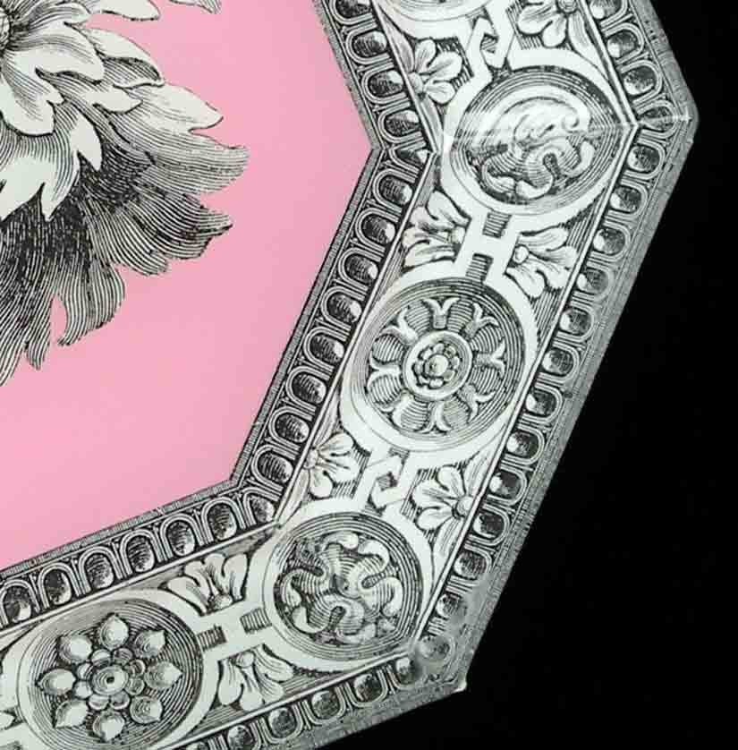 Pink B/W Plate 2