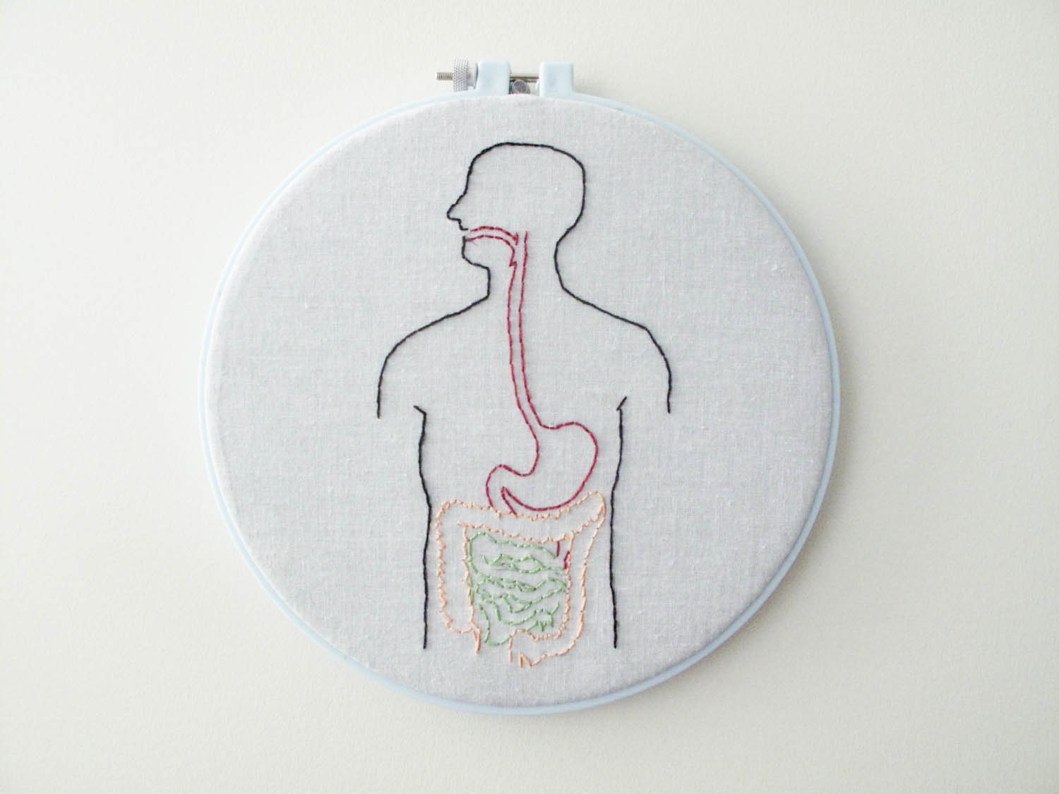Digestive System Embroidery Wall Art - One Of A Kind