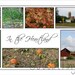 In the Heartland - 10x20 Storyboard of the Midwestern United States