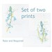Set of two contemporary botanical fine art prints - Rate and Required, reproductions of bluebell drawings in aqua, pale green, and white