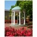 UNC Old Well and Azaleas - 8x10 Photographic Print