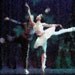 Pas de Deux Blank Note Cards $15