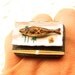 Japanese Grilled Fish Bamboo Plate  Chopsticks Ring