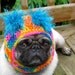 Dog Hat - Clown Happy/ Made to Order