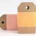 Kraft Paper Luggage Tags (100) - Hole Punched