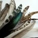 CHINCHILLA TAIL FEATHERS  , Grizzly and Iridescent Striped Natural / 152 - 15 / OnSale