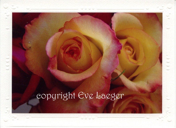 Rose of Sharon Card