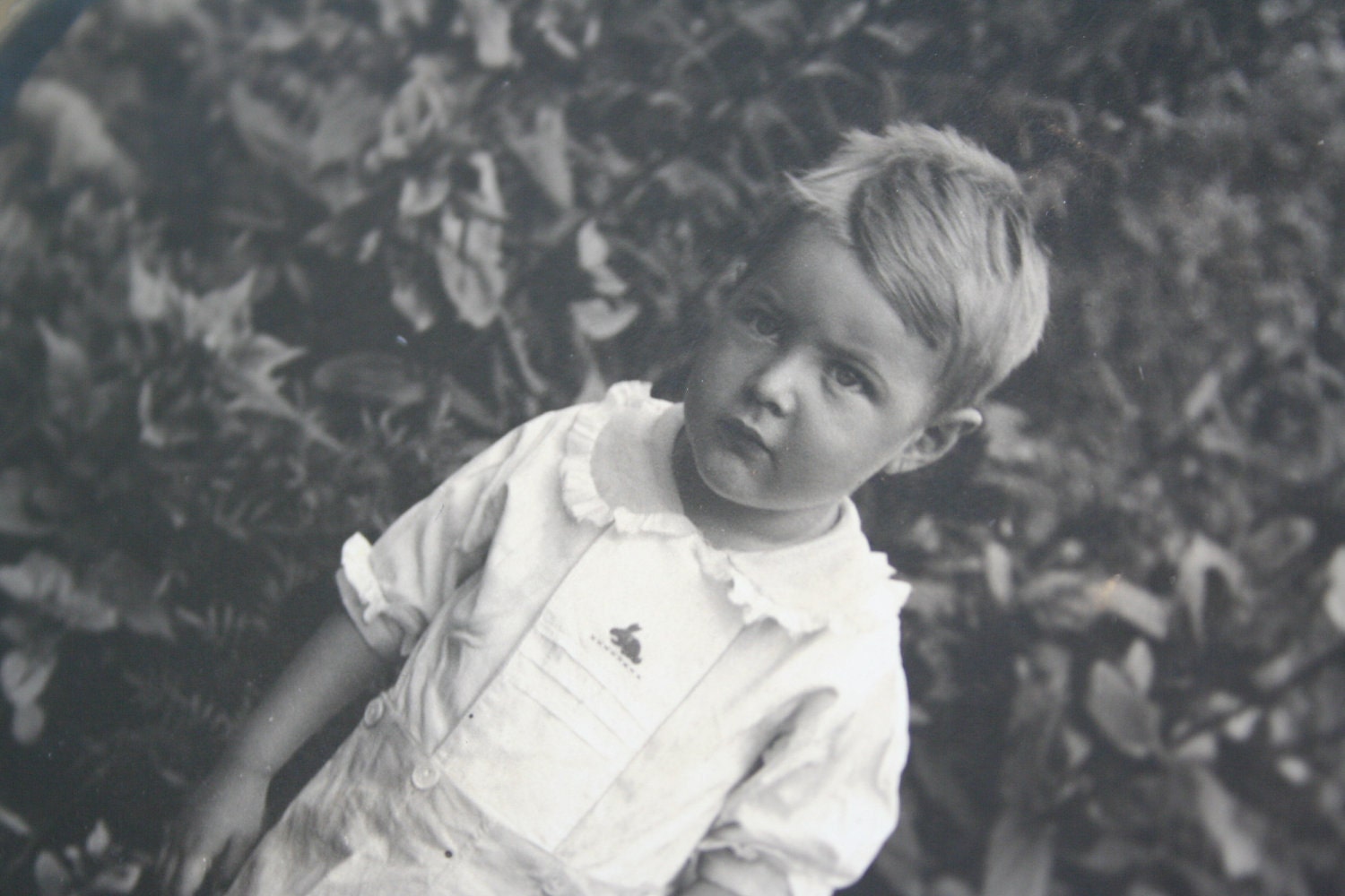 Vintage Photo of Theodore in the Garden - Early 1900's