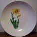 8 inch Ballerina oven proof bowl with daffodil