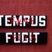 Hand painted sign "Tempus Fugit", White and red on black, Made from Repurposed pallet wood