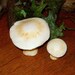 Cute set of 2 ceramic Button Mushrooms - handmade studio art pottery