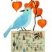Bird No.27