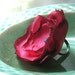 True Love, A Romatic Red Fabric Rose Ring