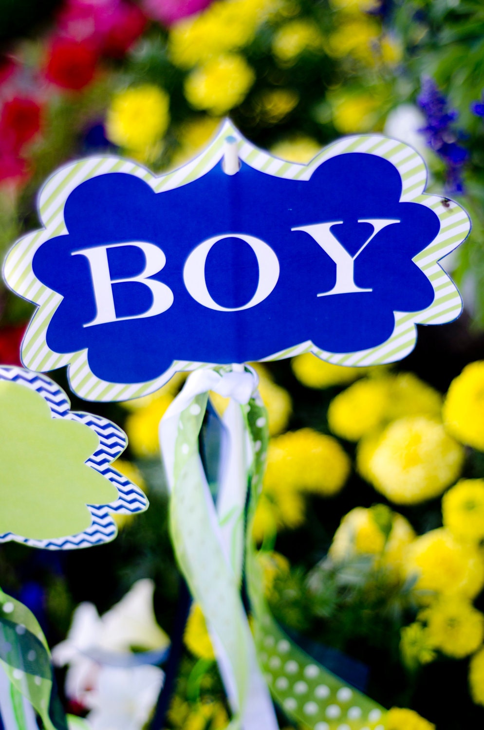 It's A Boy Baby Shower PRINTABLE Yard Signs by Love The Day