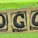 Ceramic Dog Bowl - Handmade Stoneware Clay Pottery Wheel Thrown - Ready to Ship