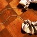 Silven Ruffle Collar