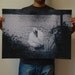 swan II