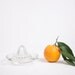 Vintage Citrus Juicer