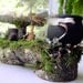 Woodland Fairies Halloween Celebration with broom table and caldron.