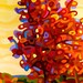 Abstract Fine Art Print 8x10 - Fiesta