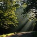 Let Your Light Shine - Unmatted - 11 x 14 Photograph