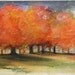 Original Watercolor Painting AUTUMN STORM fall color maple trees in Vermont.
