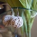 Handmade hemp cord balls earrings. Romantic and lightweight