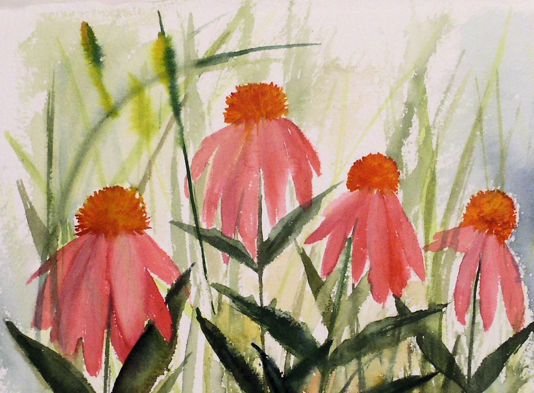 Original Watercolor Bright Pink Coneflowers on Quality Paper Not a Print.