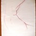 Original Nude Bend Study Sketch