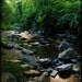 Creek Time - Fine Art Photograph - 5 foot wall print