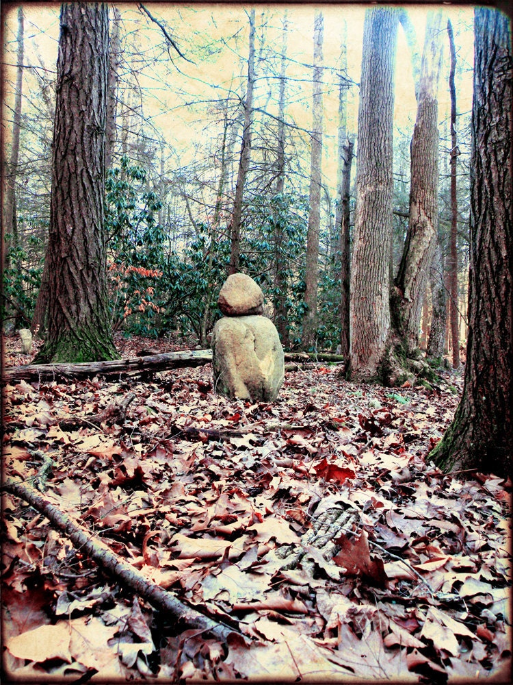Stand Strong - Fine Art Photograph - 5 foot wall print