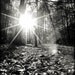 Be Light - Fine Art Photograph - 3 foot wall print