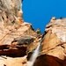 Zion - Fine Art Photograph - 3 foot wall print