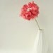 Coral Pink Ribbon Flower