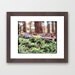 Tiny Tree - Fine Art Photography Print - Framed 12 x 10