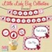 Printable Little Lady Bug Themed Birthday Party Decorations - Mini Package