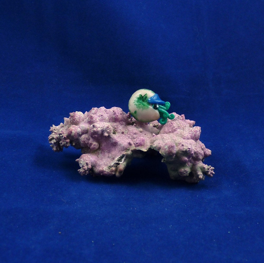Jade Nautilus Pin - Polymer Clay Cephalopod Jewelry