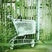 Mini Cart - 8x10 Cross Processed Photo Print (film)