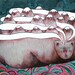 Bear Mountains Illustration "Mediumship" Archival Giclee Print 15x22 in