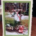 Sled - Christmas Holiday Card - Lisa Ceaser Photography Original